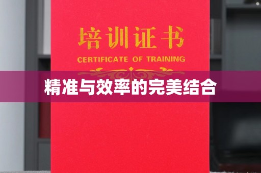 集安精准与效率的完美结合